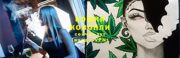 гидра Белоозёрский