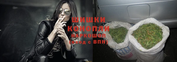 гидра Белоозёрский