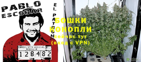 винт Белокуриха