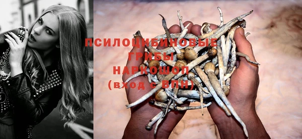 гидра Белоозёрский